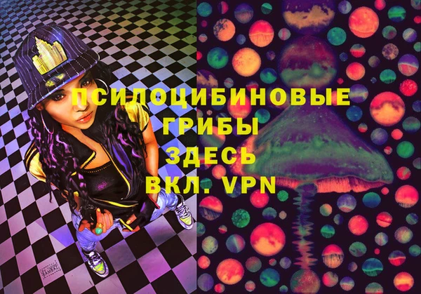 apvp Аркадак