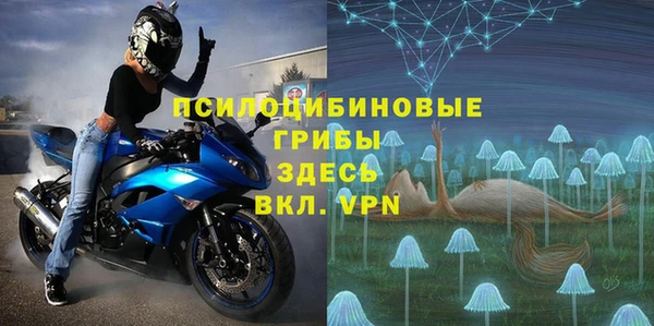 гидра Балахна