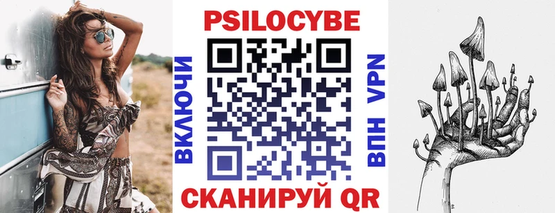 Галлюциногенные грибы Psilocybe Сортавала